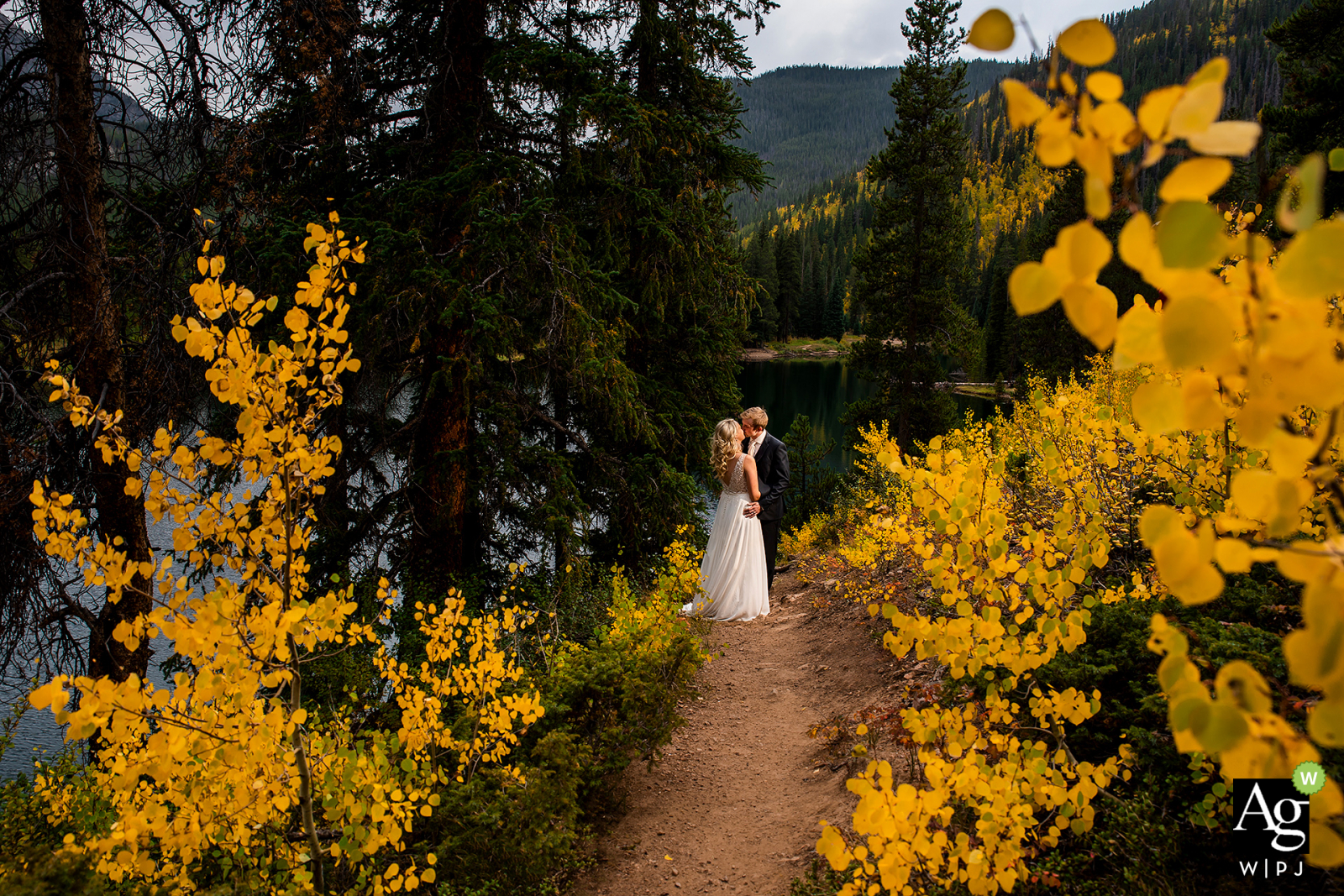 Photo by: <a href="https://www.wpja.com/photos/artistic-wedding-photographers/2595599">Jesse La Plante - Boulder Colorado Summit County, Colorado fine art wedding portrait image of the bride and groom standing in aspen grove