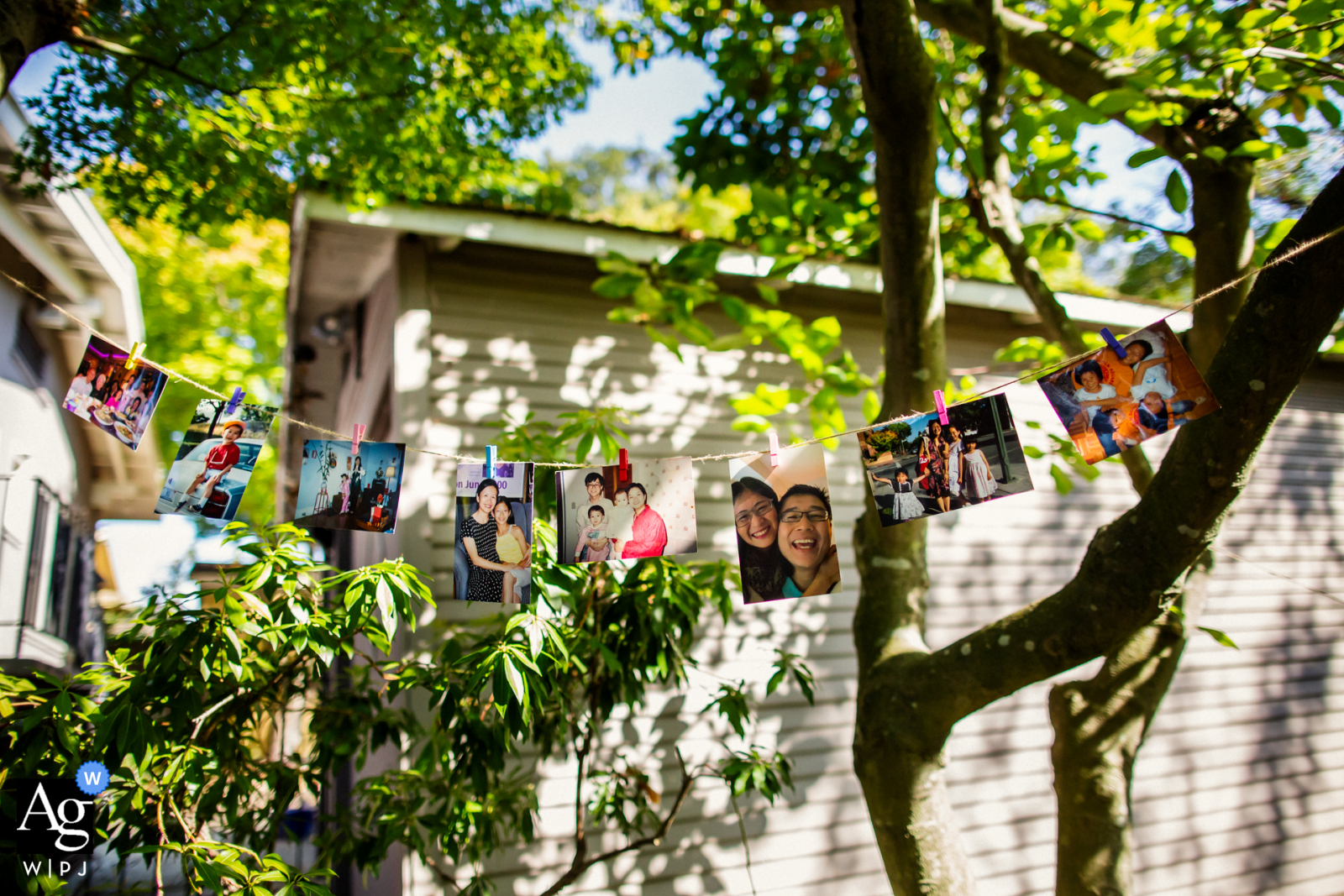 Oakland, California wedding detail image of childhood pictures used to decorate the backyard wedding