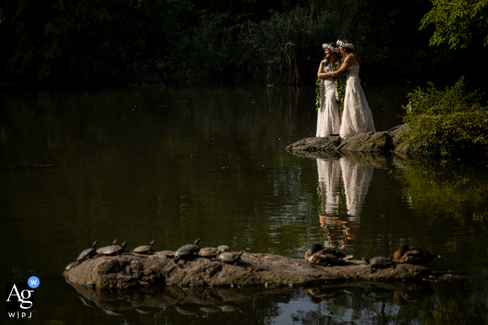 Künstlerische Hochzeitsfotos im Central Park mit einer wunderschönen Wasserspiegelung