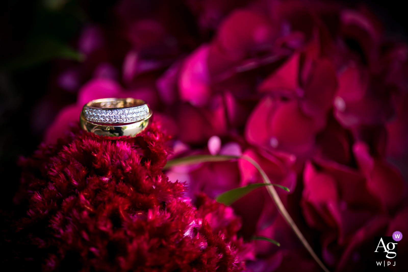 Netherlands wedding detail image of the bride's wedding bouquet, and the ring a special detail of the wedding day