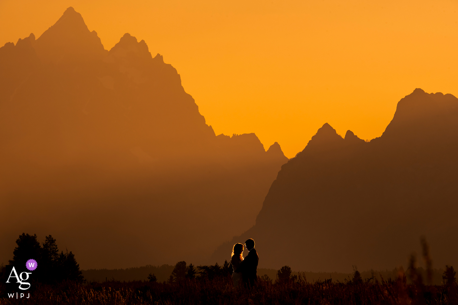 Parque Nacional Grand Teton, Jackson, WY retrato de la novia y el novio al atardecer