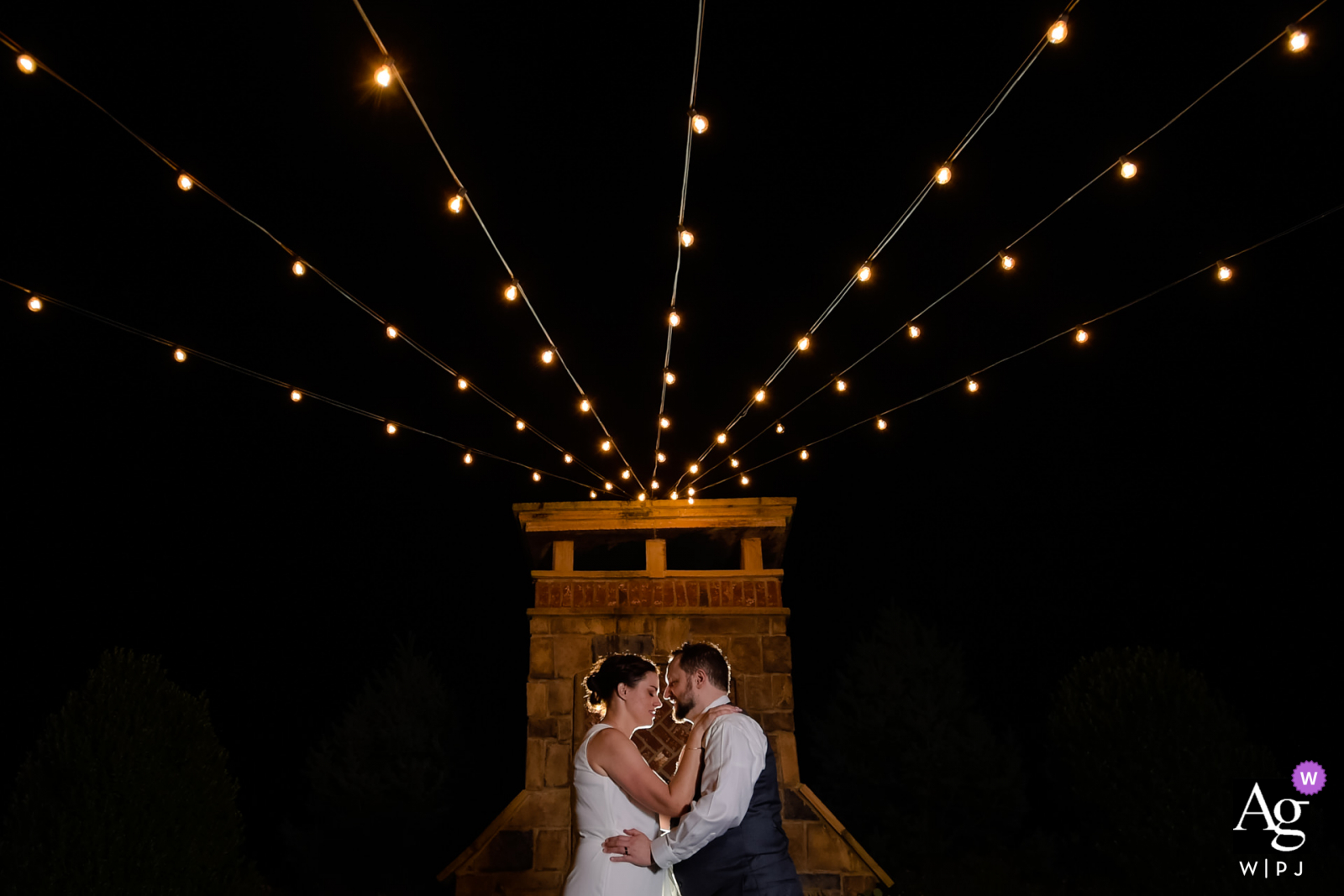 Foto de bodas de los mejores viñedos de Yonah Mountain: los mejores  fotógrafos de bodas del mundo | WPJA -2608572