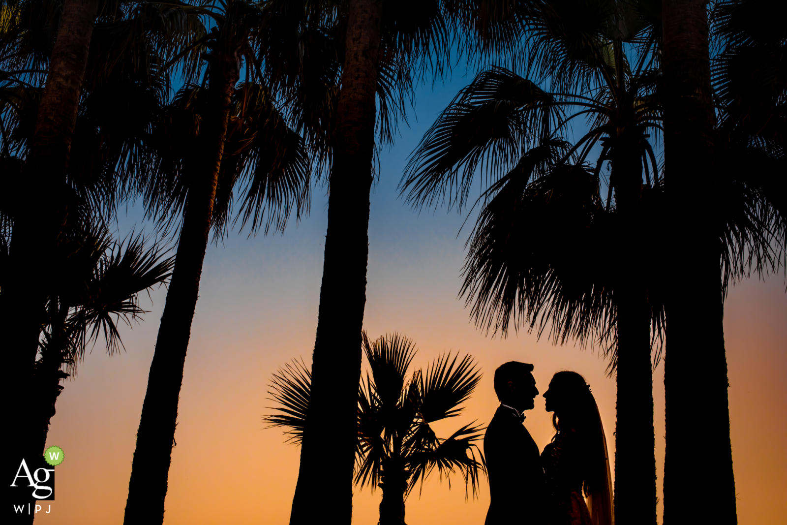 Mersin Hilton Hotel, Turquía sesión de retrato de boda para el novio y la novia bajo las palmeras en el jardín del hotel