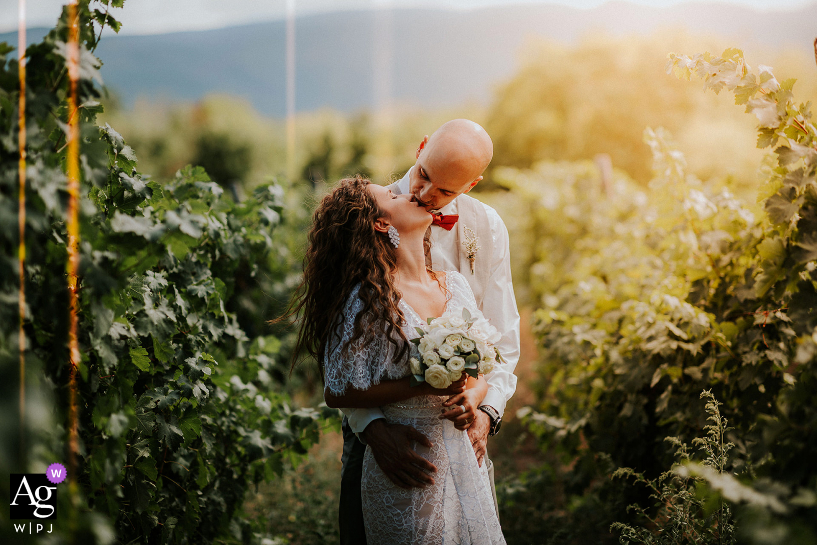 Esterra Vini, Bulgarien Sonnenlicht küsst Hochzeitsporträt mit einem Kuss in der Mitte der Weinberge