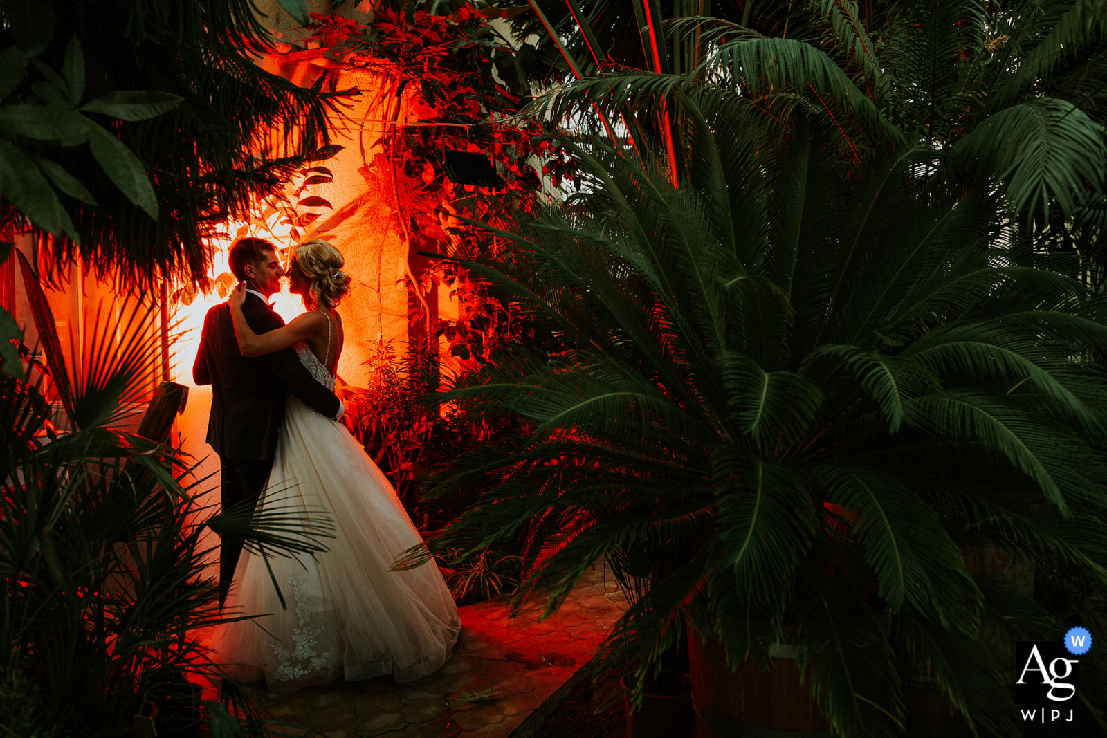 University Botanic Garden, Sofia, Bulgária, retrato de casamento de casal criativo mostrando que eles estão verdadeiramente apaixonados