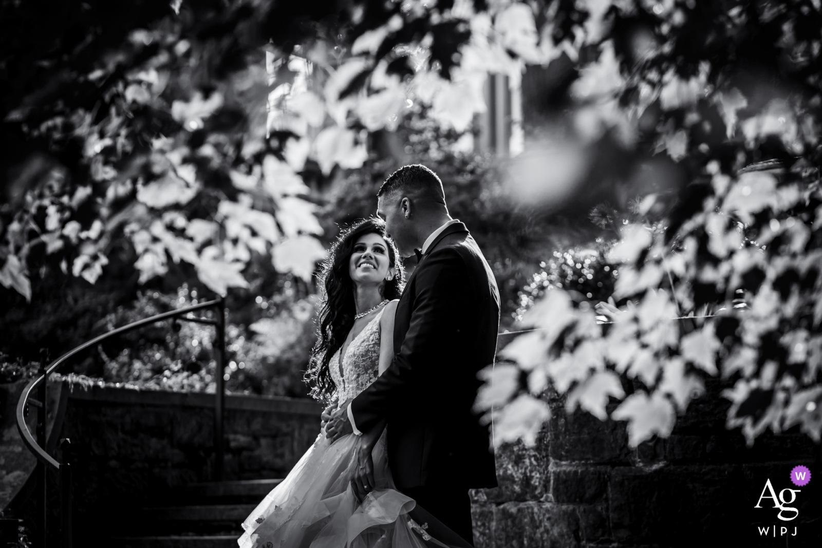 DE artistic wedding photo from Winterthur, in Delaware with a Sunlit, lovely happily married couple DE artistic wedding photo from Winterthur, in Delaware with a Sunlit, lovely happily married couple