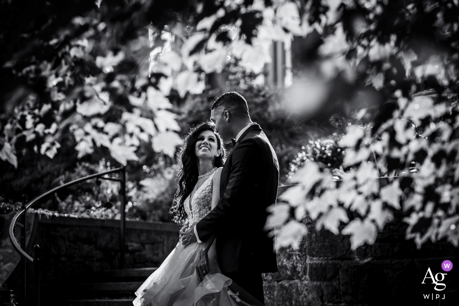 DE artistic wedding photo from Winterthur, in Delaware with a Sunlit, lovely happily married couple