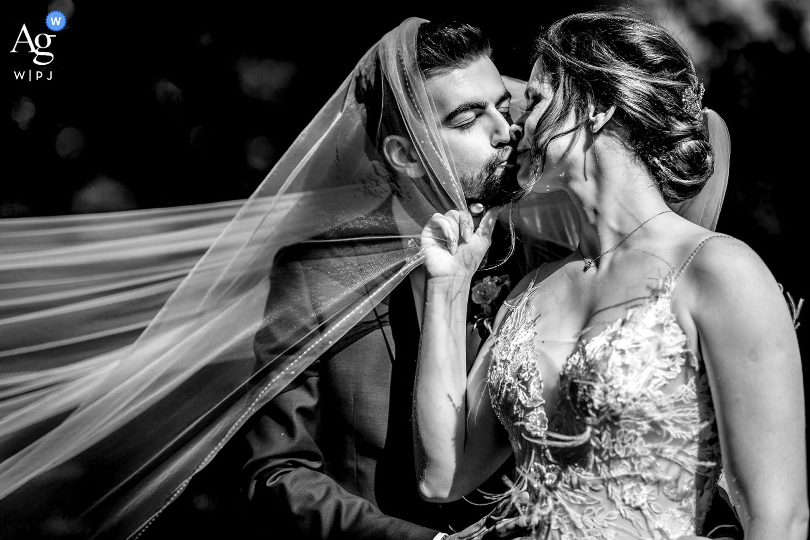 View this creative Parc de Schoppenwihr wedding pic of a romantic veil kiss in bw, which was a featured picture among the best wedding photography in Alsace, France from the WPJA