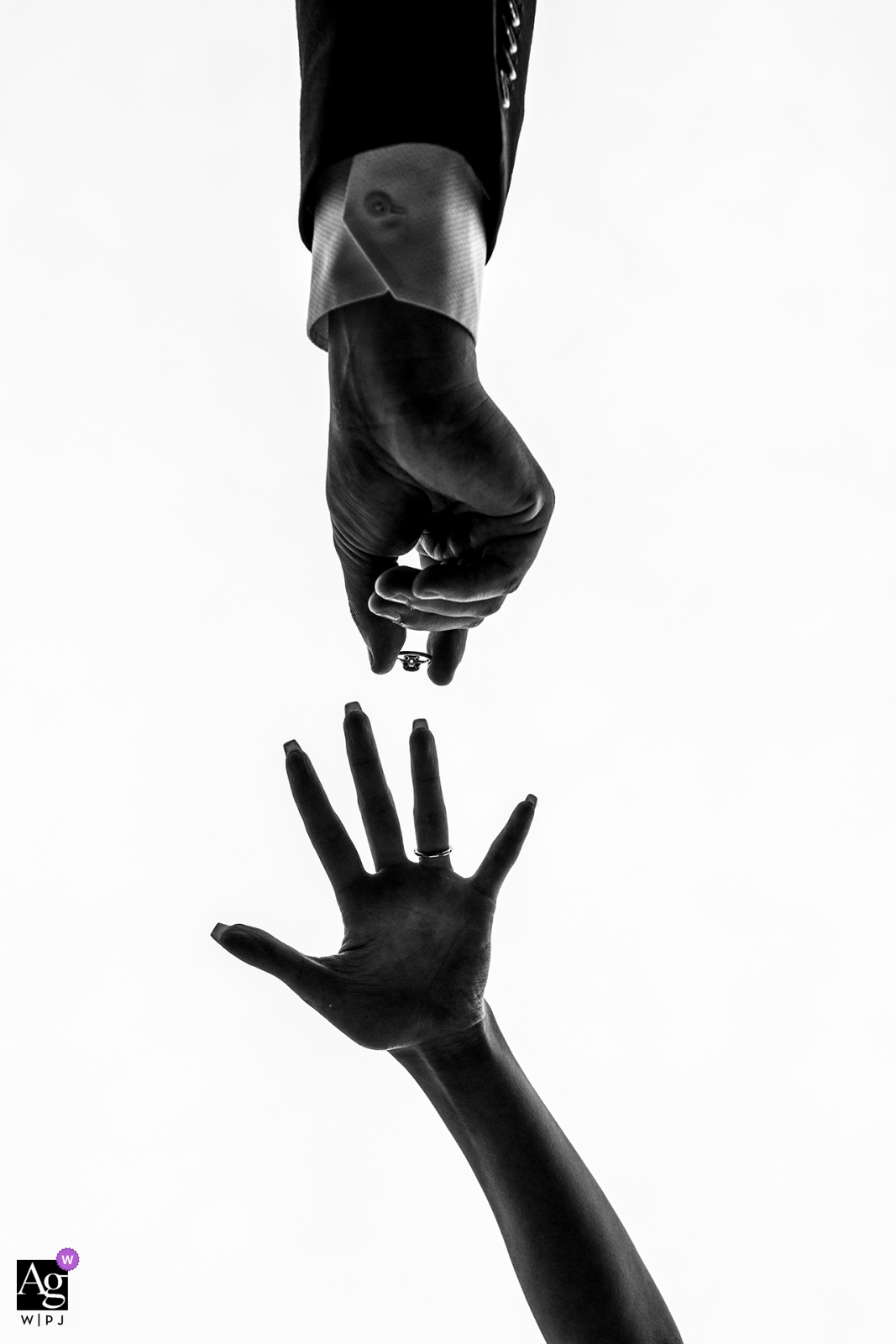 An Edmonton creatIve wedding day detail picture of the groom placing the ring on the brides hand