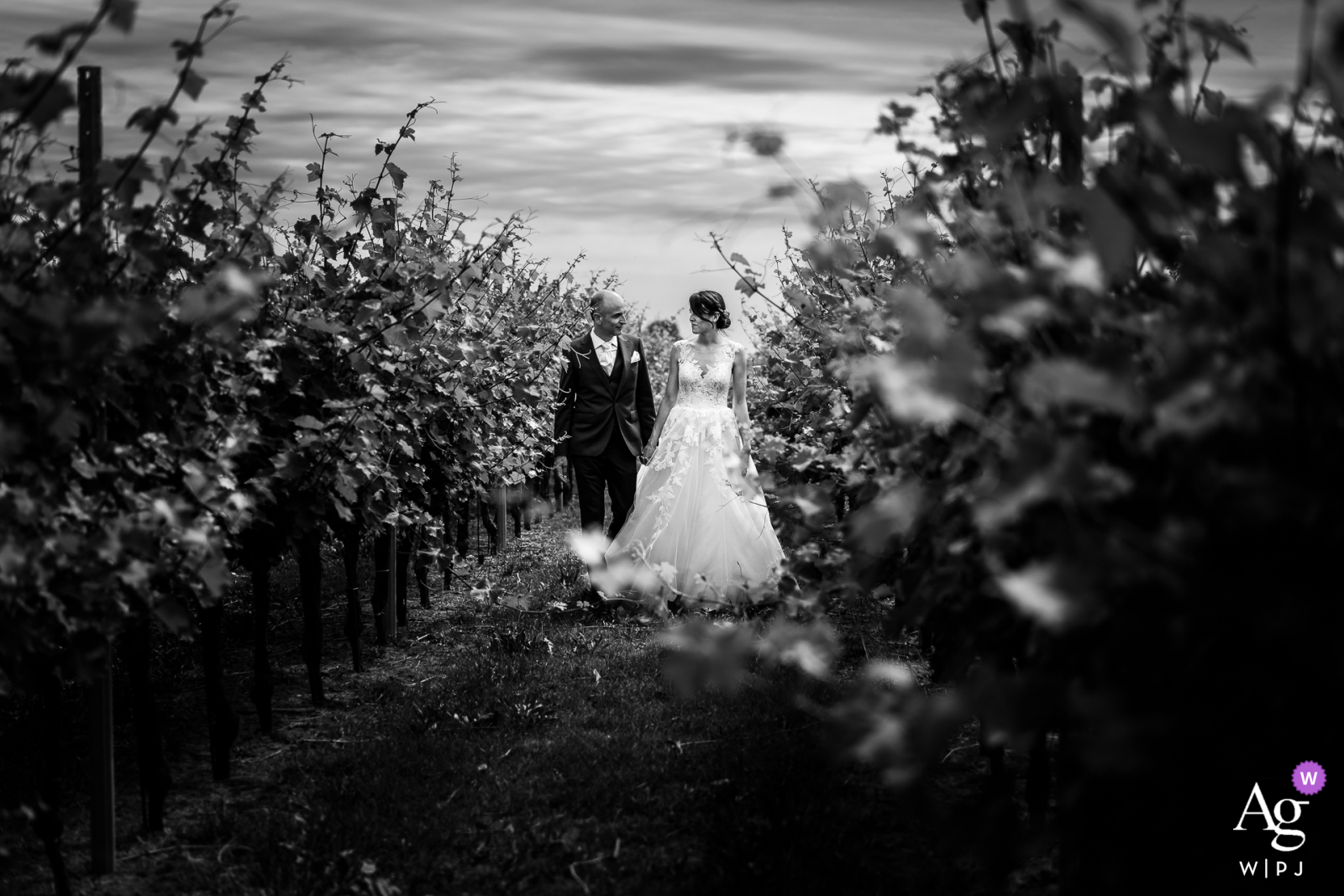 Photo du lieu de mariage de la Villa Al Trovatore, Cervignano, Udine montrant les mariés se promenant dans les vignes