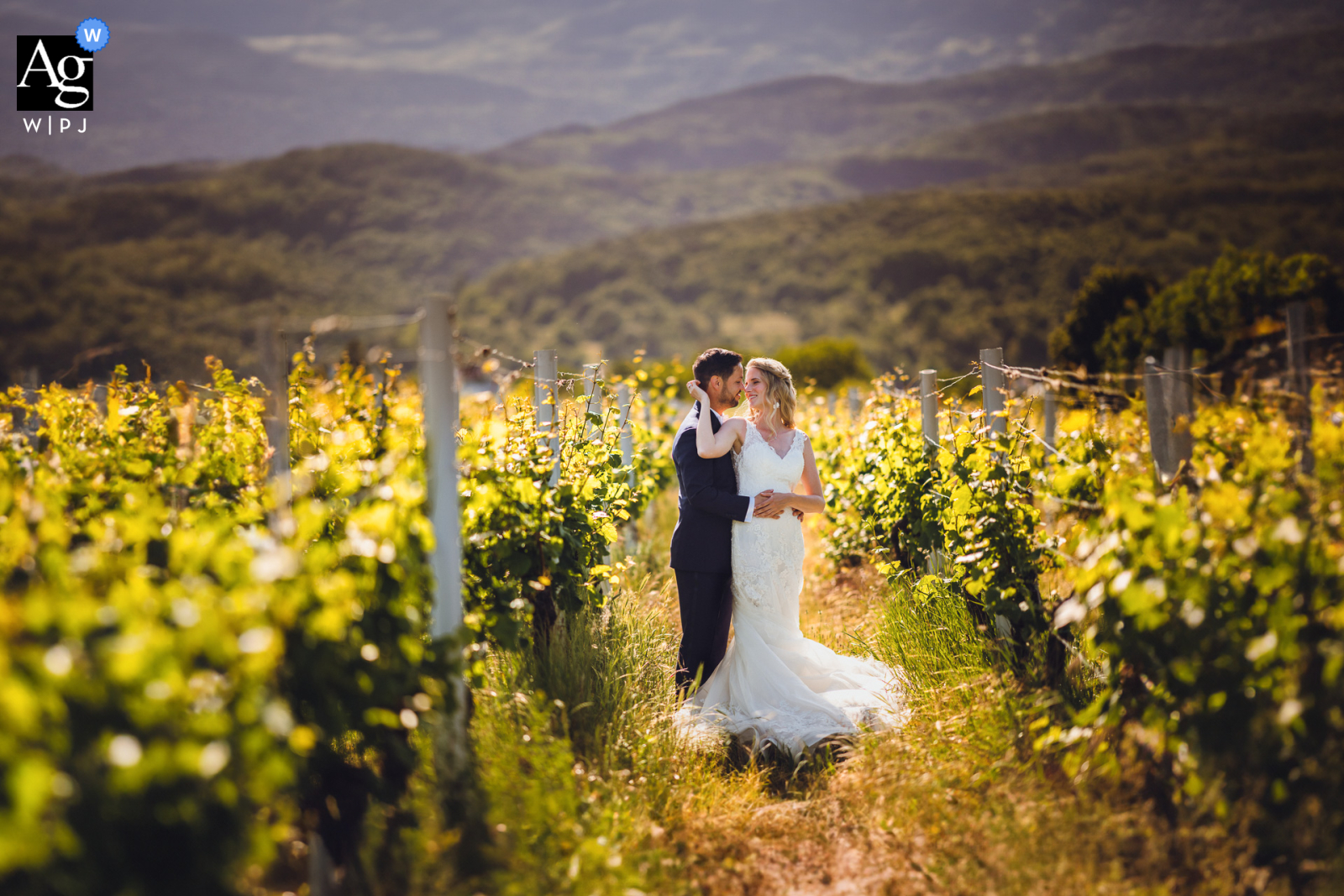 Una coppia si trova davanti all'Hambacher Schloss il giorno del loro matrimonio a Neustadt an der Weinstrasse. I vigneti risplendono nella calda luce del sole.