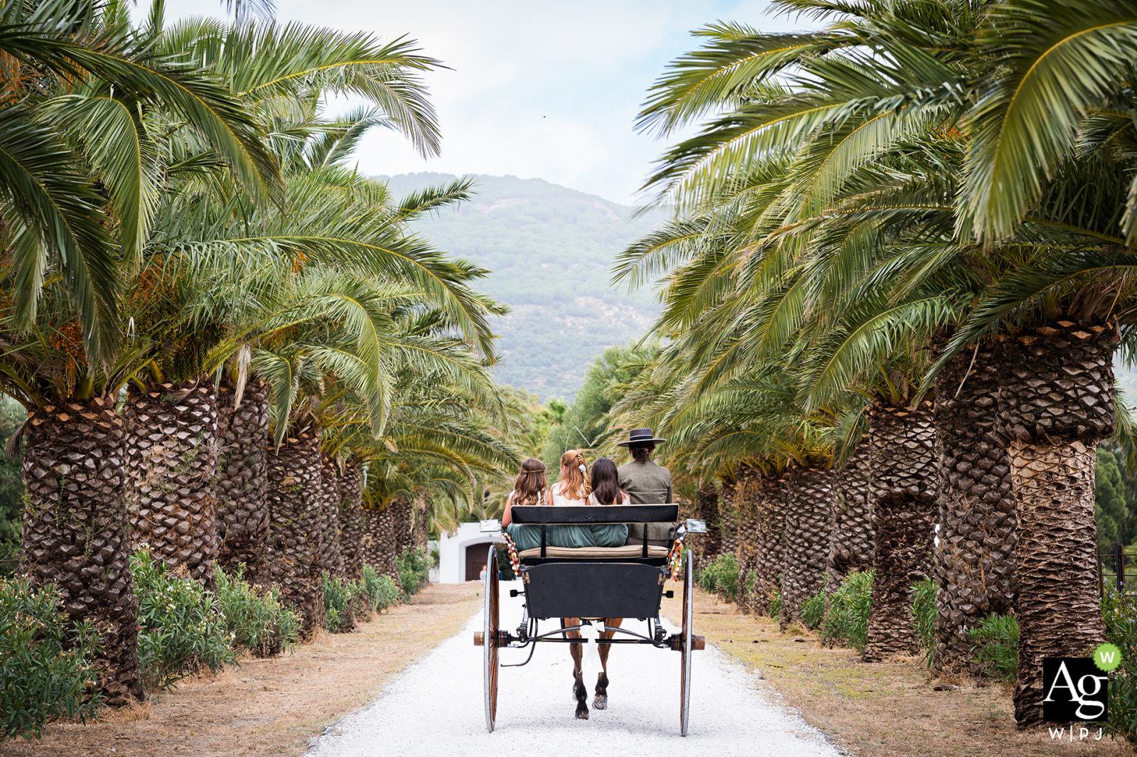 Flower girls arrive at a Cortijo El Aguilon, Tarifa, Spain wedding ceremony in a horse-drawn carriage.