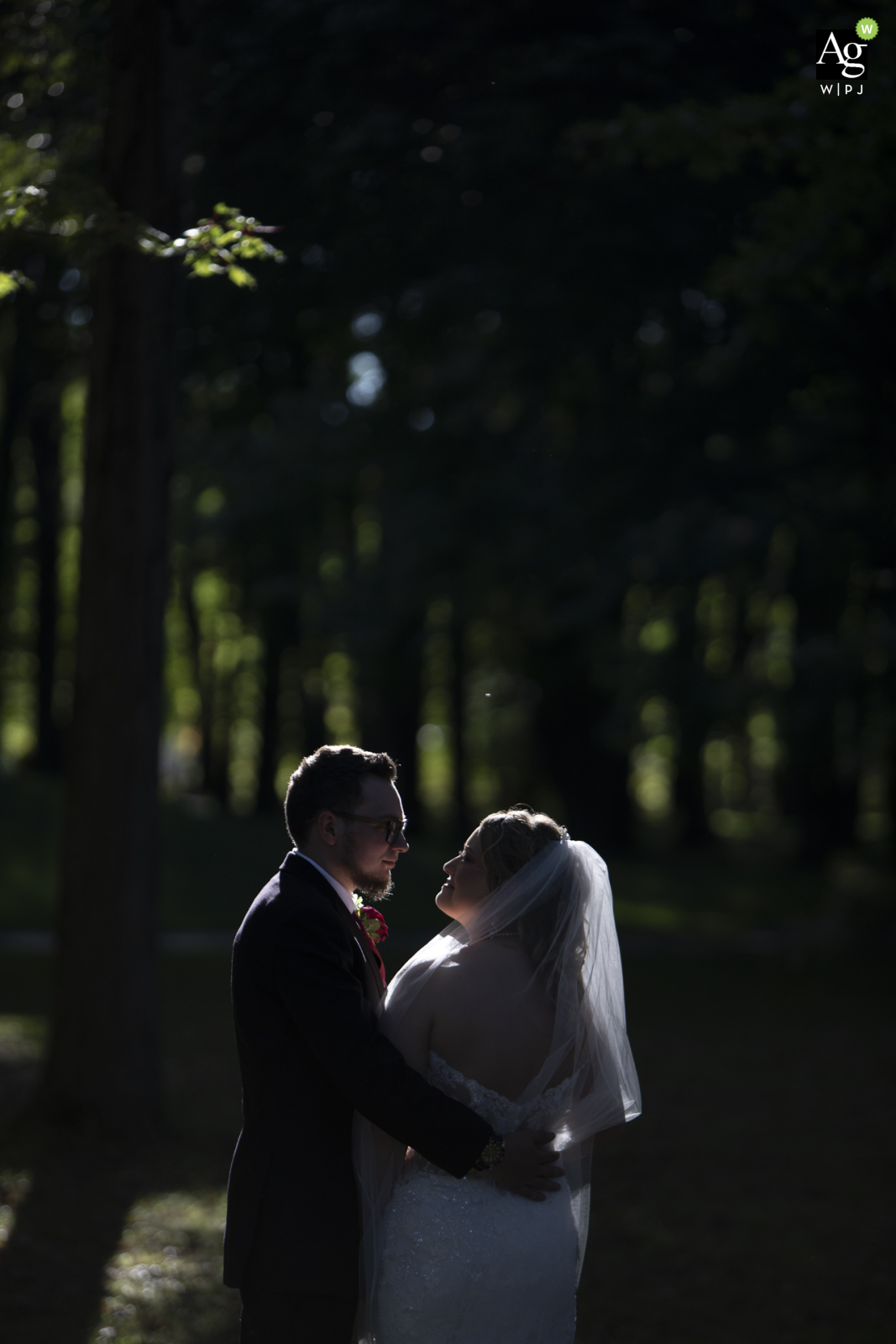 At Annika's Event Center, Grafton, OH, bride and groom bask in golden late autumn sunlight, a tender, radiant portrait