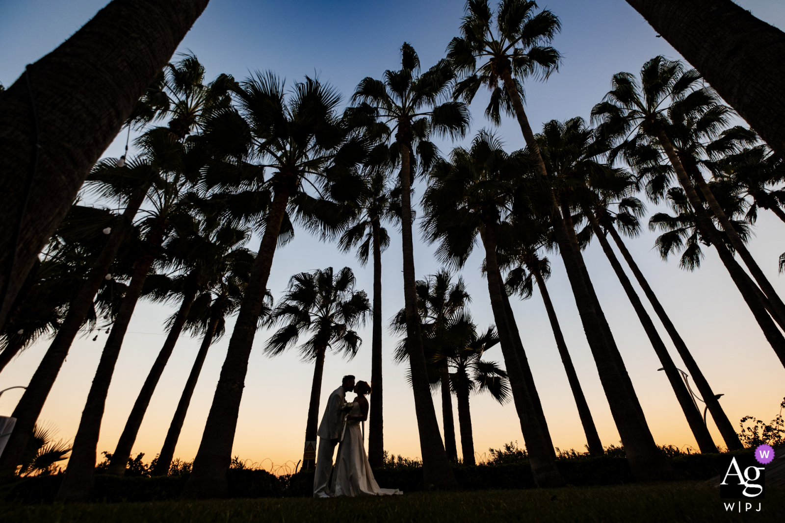 At Mersin Hilton Hotel, the couple is silhouetted between the palms, set against the deep tones of the sky. This artistic portrait creates a dramatic and romantic mood, highlighting the natural beauty of the backdrop.