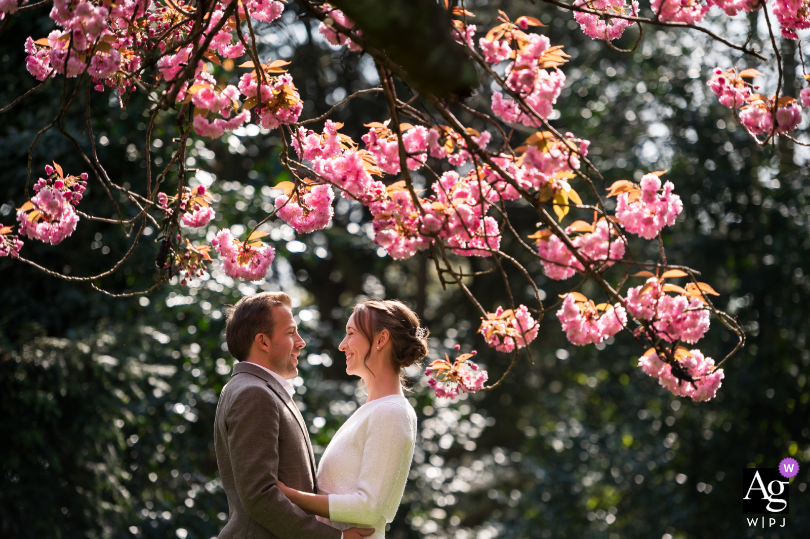 Wedding couple posing in front of a flowering tree by Central Park in Voorburg.