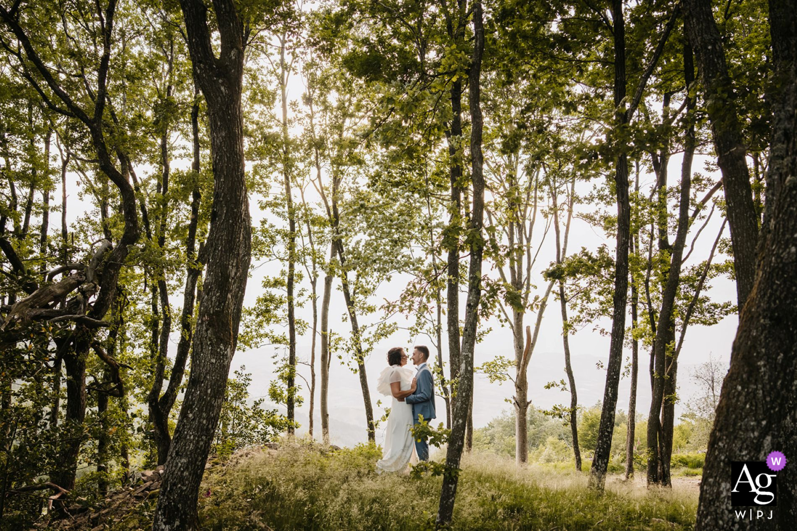 Monts du Lyonnais — In a minimalist wedding portrait, the couple stands low in the frame, surrounded and framed by tall trees in the middle of the forest, highlighting the serene natural setting.