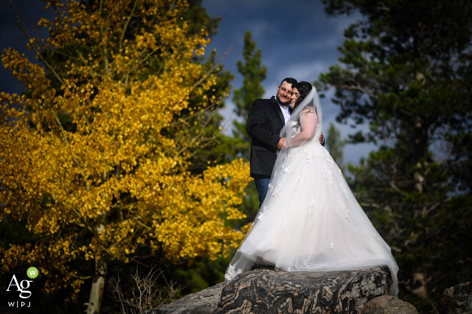 The couple stands atop a sunlit rock in Rocky Mountain National Park, Estes Park, Colorado, surrounded by the golden hues of fall foliage and stunning views.