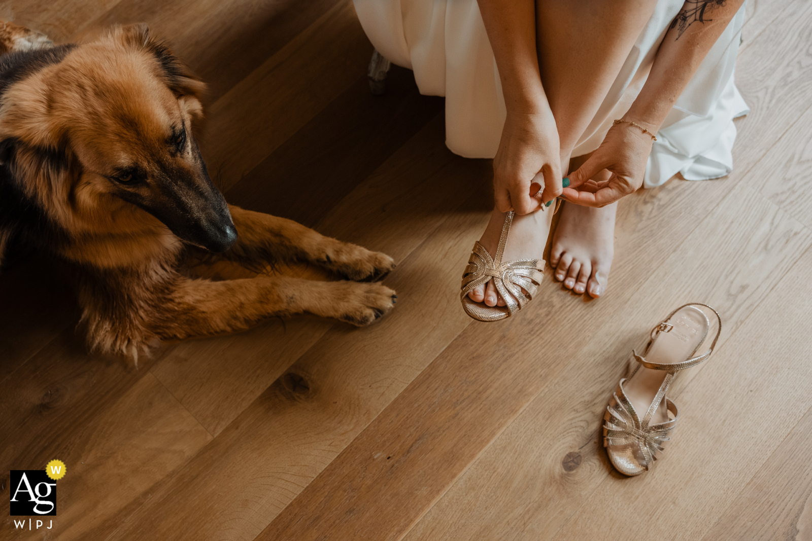   While preparing for the ceremony at Domaine des Loups in Niort, France, the bride slips on her shoes, her loyal dog keeping a close, watchful eye on her.