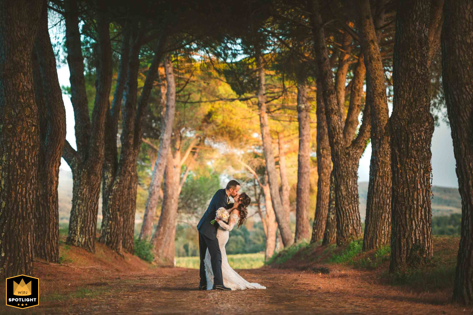 Classic Wedding Portrait Amid the Trees at Castello Badia Ombrone, Tuscany Couple posing with trees at Castello Badia Ombrone, Tuscany, Italy for a classic wedding portrait.