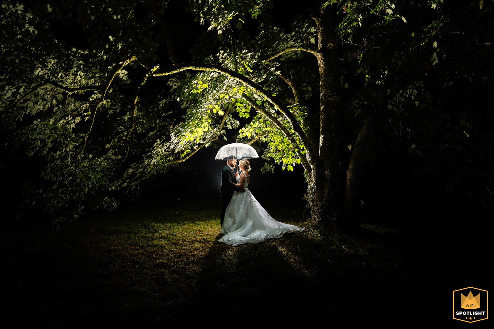 A photograph shows a bride and groom during a couple's session at Chateau de Rossignol in Chalignac, France. The couple is framed by dark foliage and a backlit green canopy of trees overhead while it rains.