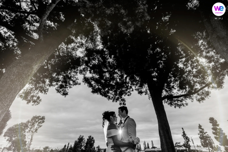 Bride And Groom’s Black And White Courthouse Park Portrait On Elopement Day Black and white portrait of bride and groom standing together in front of the courthouse park.