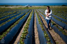 Davenport Artful Engagement Photography showing Their love is sweeter and brighter than the strawberries in the field