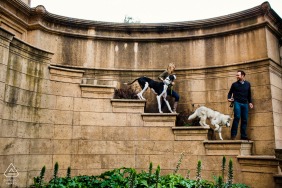 San Francisco outside environmental couple prewedding photoshoot with Striding giant steps and furry babies