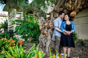 A couple cuddles next to an unusual tree trunk on the Santa Clara University campus for their engagement portrait.