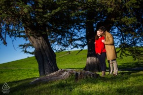 In Emeryville, California, the couple enjoys their engagement session surrounded by green grass and trees, sunlight filtering through the park and casting a warm, natural glow over their relaxed and joyful expressions.