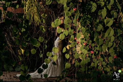 Retrato creativo de la novia del día de la boda de Covadonga en las plantas y árboles verdes al aire libre