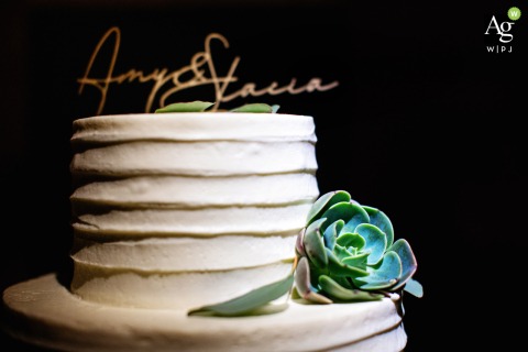 A detail shot of a succulent and nameplate on the cake at a Union Trust wedding in Philadelphia, Pennsylvania is shown