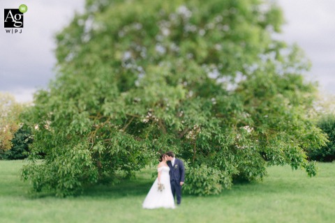 The Majesty of a Large Oak Frames a Kiss for the Bride and Groom at Domaine de Givray, Trouy Against the grandeur of a large oak at Domaine de Givray in Trouy, the bride and groom kiss, framed by the natural beauty and timeless setting of the French countryside.