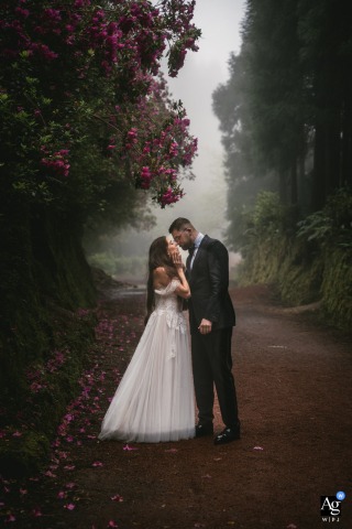 Couple kissing in the misty fog beneath a blooming pink bush on Sao Miguel island, Azores.