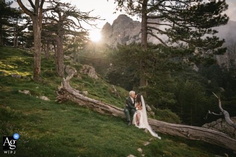 Happy couple laughing together while sitting on a fallen tree in scenic Corsica, France outdoors.