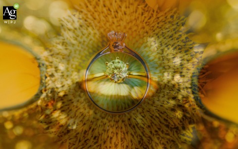 The wedding rings are artistically displayed at Green Ark in Miaoli, Taiwan, highlighting the fine metalwork of the jewelry against the unique architectural textures of the park venue.