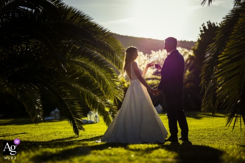 An artistic wedding portrait capturing a joyous "Cin Cin" (cheers) moment at Ca' Borghese, Ameglia, La Spezia, celebrating the newlyweds.