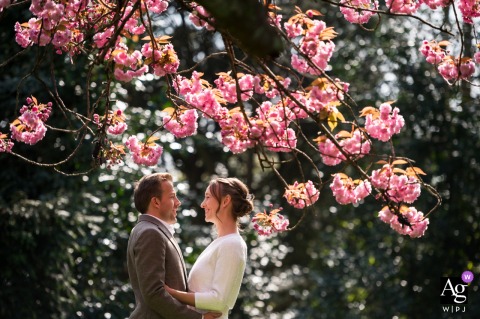 Wedding couple posing in front of a flowering tree by Central Park in Voorburg.