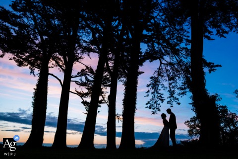 Higher Eggbeer Farm Couple Portrait: Tall Trees Silhouetted in Blue/Black Against Sunset Higher Eggbeer Farm, Devon: A striking sunset silhouette against tall trees, rendered in a blue/black palette.