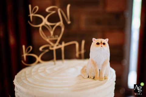 A charming cake topper featuring the couple's cat sits atop the wedding dessert at Uplyme Village Hall in Devon, England, adding a personalized touch to the reception.