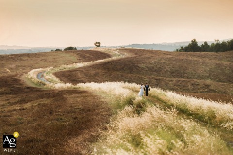 A romantic portrait captures the wedding couple walking hand-in-hand through the tall grass on the rolling, sun-drenched countryside hills of Crete Senesi, Tuscany.