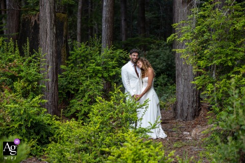 Heartwood Mendocino, Mendocino, CA — The bride and groom stand together among the redwood trees, surrounded by lush greenery with tall dark trunks rising behind them, creating a majestic and romantic wedding portrait.