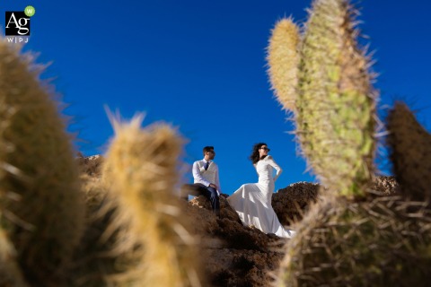 The bride and groom are featured in a professional wedding portrait at Rodalquilar, Almería, utilizing the unique desert landscapes and golden tones found in the Spanish countryside.