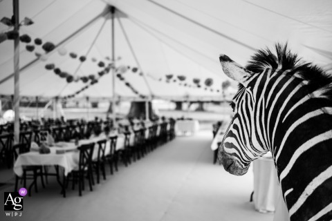 Hatherop Castle, Gloucestershire: The couple's zebra mascot is artistically positioned overlooking the detailed and elegantly arranged wedding breakfast setup, capturing a whimsical decorative detail on their wedding day.