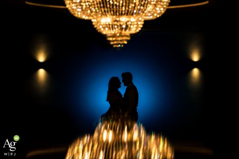 A striking, high-contrast silhouette features the wedding couple against a bright background, showcasing an artistic composition in the city of Zoetermeer within the South Holland province.