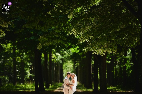 Amsterdam, Noord Holland — The couple poses low in the frame for a minimalist, symmetrical portrait in a forest, with majestic trees towering in the background to create a serene and natural wedding image.
