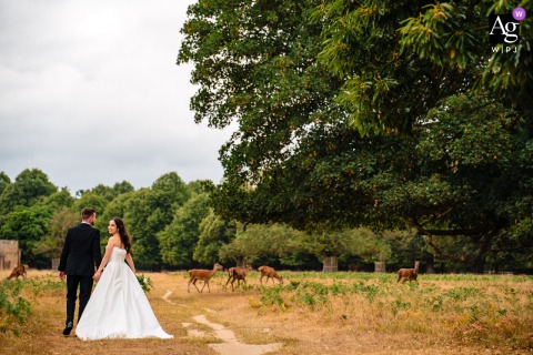Hampton Court House — The couple walks through the park in a minimalist outdoor shot, positioned low in the bottom left corner with deer visible in the background, creating a serene and elegant wedding portrait.