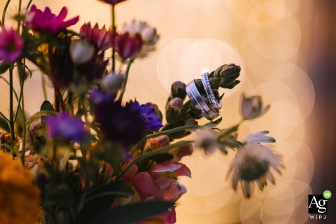 Wedding Rings Rest on Flowers With Illuminated Lights at Landgut Stuttem in Wipperfurth Germany Wedding rings are photographed on flowers against illuminated lights at Landgut Stüttem, Wipperfürth, Germany, using the glow from the building to enhance the foreground details.