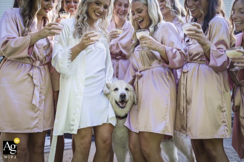   At The West Side Irish American Club in Olmsted Township, Ohio, the bride’s energetic dog playfully interrupts the bridesmaids’ portrait session, adding a humorous and lively detail to the day.