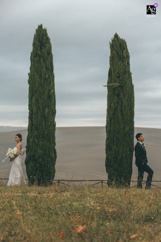 Under The Stone Pine Tree In Tuscany, The Couple Shares Togetherness With A Lush And Romantic Landscape As Their Setting Under the stone pine tree in Tuscany, the couple shares togetherness, with the lush landscape providing a romantic natural setting for their portrait.