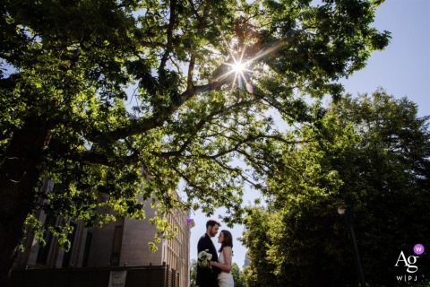   Between a gap in the trees at Civic Center Park, Denver, the couple poses as sunlight streams through the leaves, creating a dreamy effect for their wedding portrait.